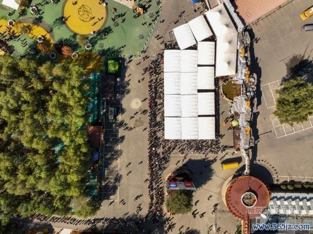 国庆假期哈尔滨东北虎林园游东谈主如织 延迟怒放时辰迎客