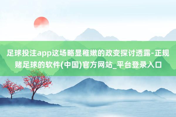 足球投注app这场略显稚嫩的政变探讨透露-正规赌足球的软件(中国)官方网站_平台登录入口