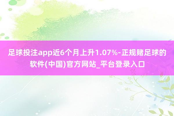 足球投注app近6个月上升1.07%-正规赌足球的软件(中国)官方网站_平台登录入口