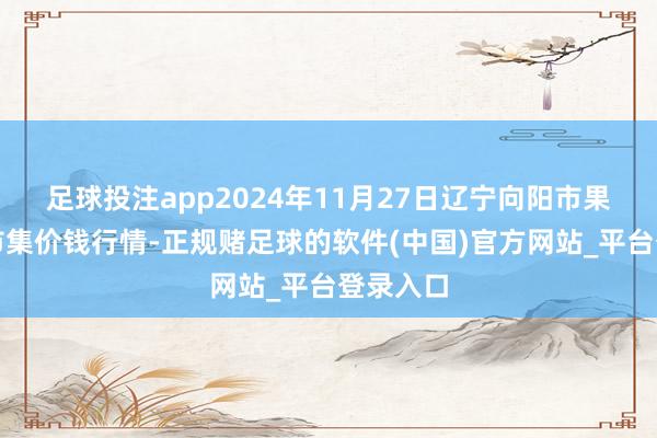 足球投注app2024年11月27日辽宁向阳市果菜批发市集价钱行情-正规赌足球的软件(中国)官方网站_平台登录入口