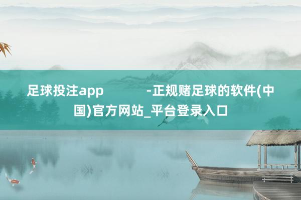足球投注app            -正规赌足球的软件(中国)官方网站_平台登录入口