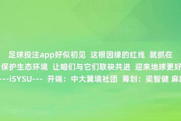 足球投注app好似初见  这根因缘的红线  就抓在你我手中  保护鸟类  保护生态环境  让咱们与它们联袂共进  迎来地球更好意思好的翌日！  ---iSYSU---  开端：中大翼境社团  筹划：梁智健 麻凯南  画图：吴靖颉吴雨轩王轶天李亦婷姚乐菲兰心许铿淳汤钰萌刘若度徐悦谢琦祺陈宝伊肖云菲  制图：汤钰萌 谢艺烨李亦婷  拍摄：方语涵  案牍：吴雨轩 梁智健李亦婷  科学审核：刘阳 梁智健 