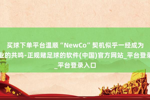 买球下单平台温顺“NewCo”契机似乎一经成为全行业的共鸣-正规赌足球的软件(中国)官方网站_平台登录入口