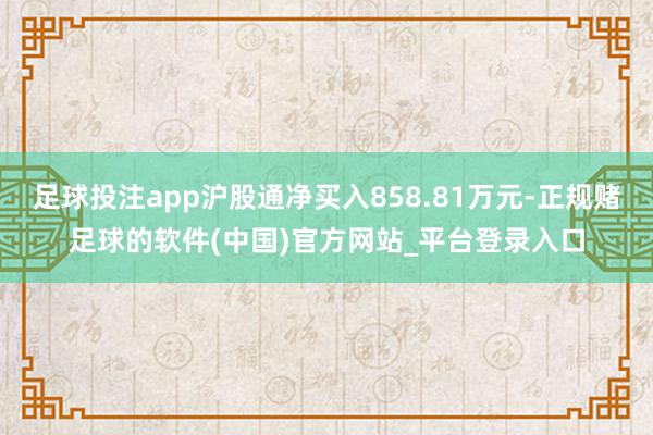 足球投注app沪股通净买入858.81万元-正规赌足球的软件(中国)官方网站_平台登录入口