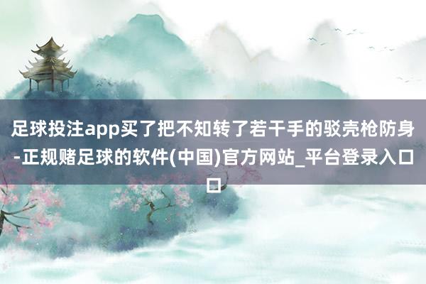 足球投注app买了把不知转了若干手的驳壳枪防身-正规赌足球的软件(中国)官方网站_平台登录入口