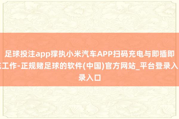 足球投注app撑执小米汽车APP扫码充电与即插即充工作-正规赌足球的软件(中国)官方网站_平台登录入口