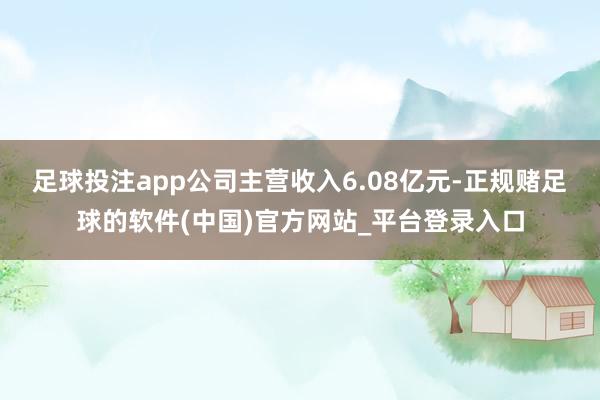 足球投注app公司主营收入6.08亿元-正规赌足球的软件(中国)官方网站_平台登录入口