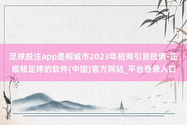 足球投注app是桐城市2023年招商引资技俩-正规赌足球的软件(中国)官方网站_平台登录入口
