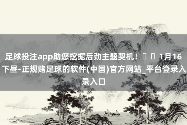足球投注app助您挖掘后劲主题契机！		1月16日下昼-正规赌足球的软件(中国)官方网站_平台登录入口