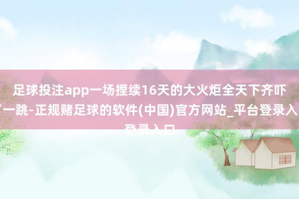 足球投注app一场捏续16天的大火炬全天下齐吓了一跳-正规赌足球的软件(中国)官方网站_平台登录入口