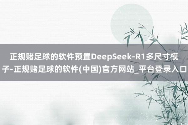 正规赌足球的软件预置DeepSeek-R1多尺寸模子-正规赌足球的软件(中国)官方网站_平台登录入口