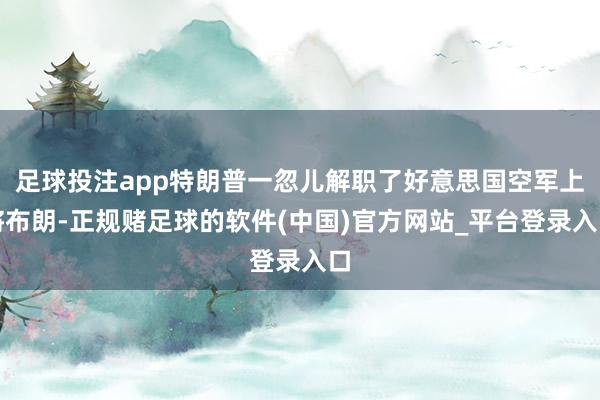 足球投注app特朗普一忽儿解职了好意思国空军上将布朗-正规赌足球的软件(中国)官方网站_平台登录入口