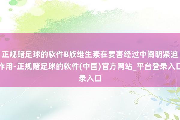 正规赌足球的软件B族维生素在要害经过中阐明紧迫作用-正规赌足球的软件(中国)官方网站_平台登录入口