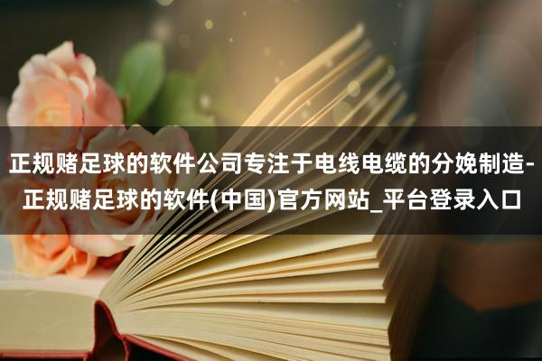 正规赌足球的软件公司专注于电线电缆的分娩制造-正规赌足球的软件(中国)官方网站_平台登录入口