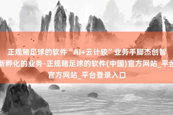 正规赌足球的软件“AI+云计较”业务手脚杰创智能上市后新孵化的业务-正规赌足球的软件(中国)官方网站_平台登录入口