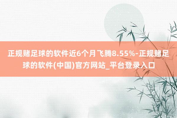正规赌足球的软件近6个月飞腾8.55%-正规赌足球的软件(中国)官方网站_平台登录入口