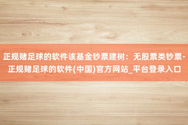 正规赌足球的软件该基金钞票建树：无股票类钞票-正规赌足球的软件(中国)官方网站_平台登录入口