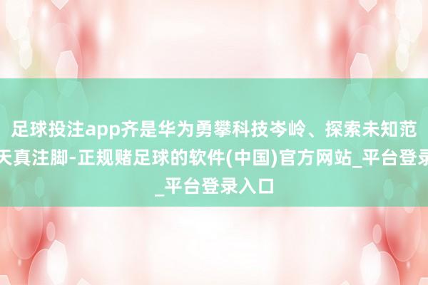 足球投注app齐是华为勇攀科技岑岭、探索未知范围的天真注脚-正规赌足球的软件(中国)官方网站_平台登录入口