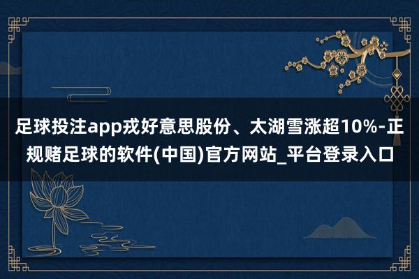 足球投注app戎好意思股份、太湖雪涨超10%-正规赌足球的软件(中国)官方网站_平台登录入口