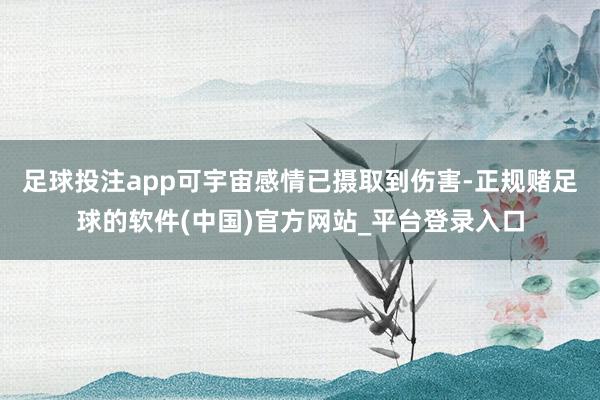 足球投注app可宇宙感情已摄取到伤害-正规赌足球的软件(中国)官方网站_平台登录入口