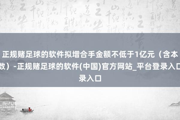 正规赌足球的软件拟增合手金额不低于1亿元（含本数）-正规赌足球的软件(中国)官方网站_平台登录入口
