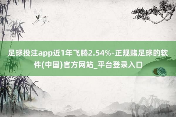 足球投注app近1年飞腾2.54%-正规赌足球的软件(中国)官方网站_平台登录入口