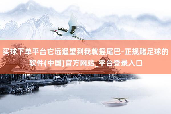 买球下单平台它远遥望到我就摇尾巴-正规赌足球的软件(中国)官方网站_平台登录入口