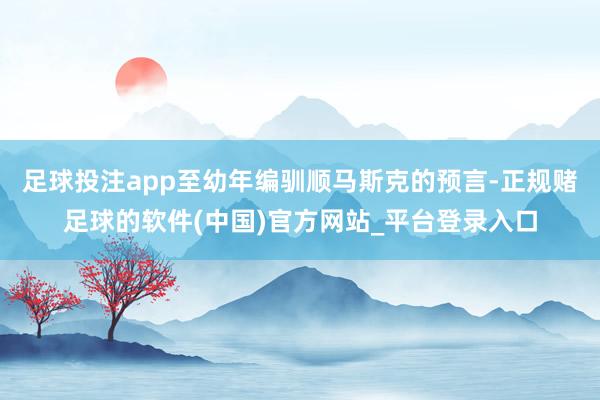 足球投注app至幼年编驯顺马斯克的预言-正规赌足球的软件(中国)官方网站_平台登录入口