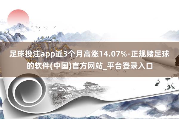 足球投注app近3个月高涨14.07%-正规赌足球的软件(中国)官方网站_平台登录入口