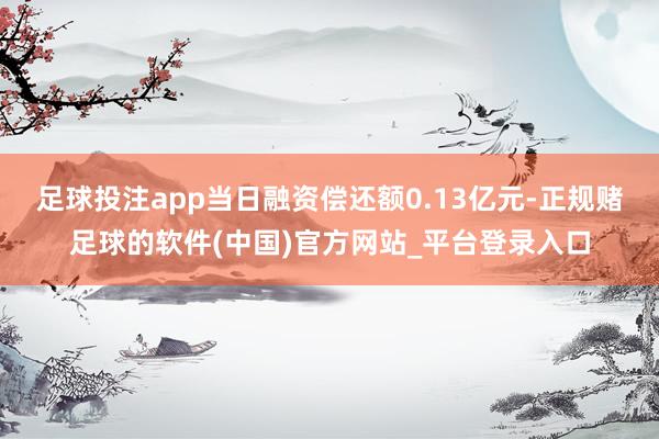 足球投注app当日融资偿还额0.13亿元-正规赌足球的软件(中国)官方网站_平台登录入口