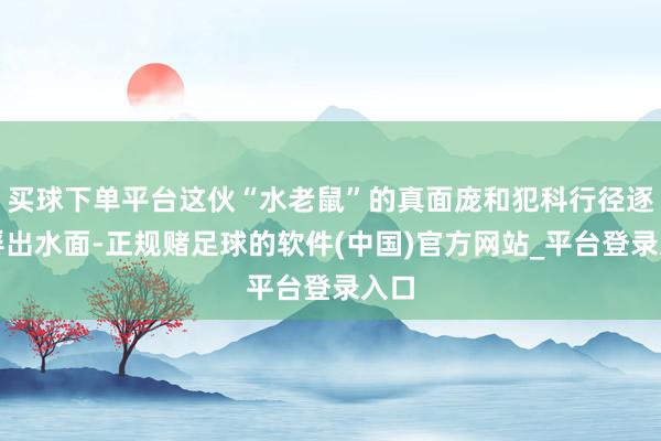 买球下单平台这伙“水老鼠”的真面庞和犯科行径逐渐浮出水面-正规赌足球的软件(中国)官方网站_平台登录入口