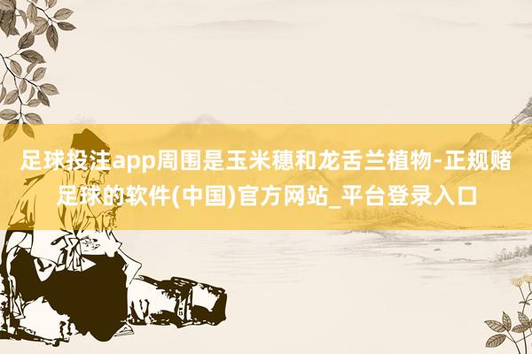 足球投注app周围是玉米穗和龙舌兰植物-正规赌足球的软件(中国)官方网站_平台登录入口