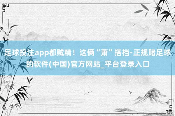 足球投注app都贼精！这俩“萧”搭档-正规赌足球的软件(中国)官方网站_平台登录入口