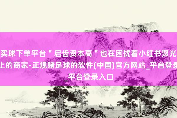 买球下单平台＂启齿资本高＂也在困扰着小红书聚光平台上的商家-正规赌足球的软件(中国)官方网站_平台登录入口
