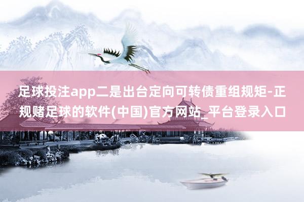 足球投注app　　二是出台定向可转债重组规矩-正规赌足球的软件(中国)官方网站_平台登录入口