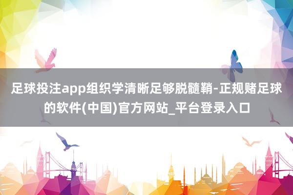 足球投注app组织学清晰足够脱髓鞘-正规赌足球的软件(中国)官方网站_平台登录入口