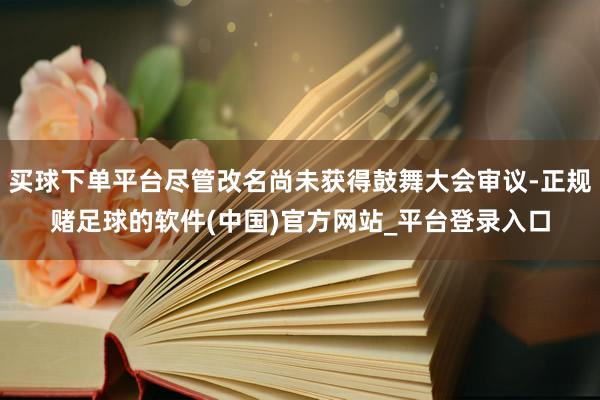 买球下单平台尽管改名尚未获得鼓舞大会审议-正规赌足球的软件(中国)官方网站_平台登录入口