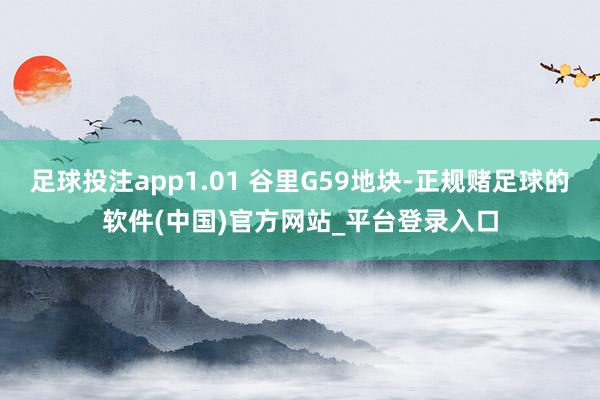 足球投注app1.01 谷里G59地块-正规赌足球的软件(中国)官方网站_平台登录入口