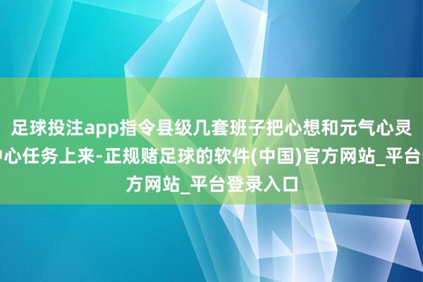 足球投注app指令县级几套班子把心想和元气心灵聚焦到中心任务上来-正规赌足球的软件(中国)官方网站_平台登录入口