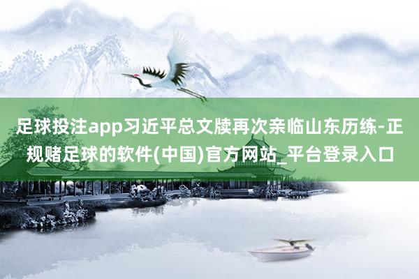 足球投注app习近平总文牍再次亲临山东历练-正规赌足球的软件(中国)官方网站_平台登录入口