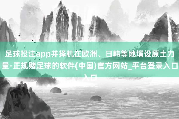 足球投注app并择机在欧洲、日韩等地增设原土力量-正规赌足球的软件(中国)官方网站_平台登录入口