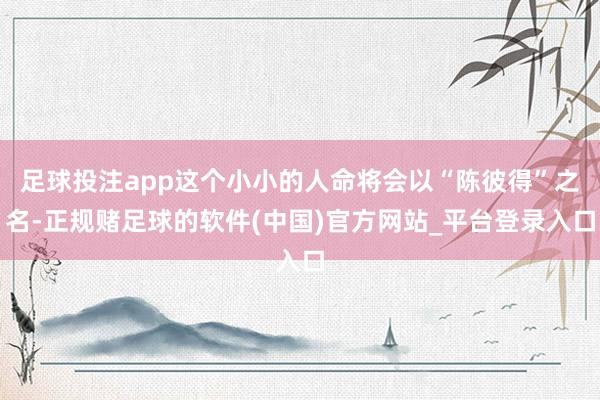 足球投注app这个小小的人命将会以“陈彼得”之名-正规赌足球的软件(中国)官方网站_平台登录入口