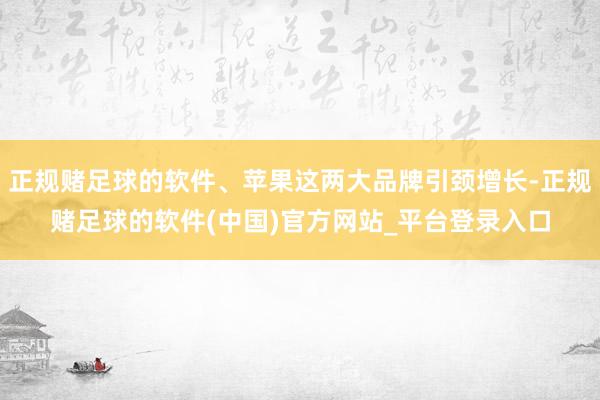 正规赌足球的软件、苹果这两大品牌引颈增长-正规赌足球的软件(中国)官方网站_平台登录入口