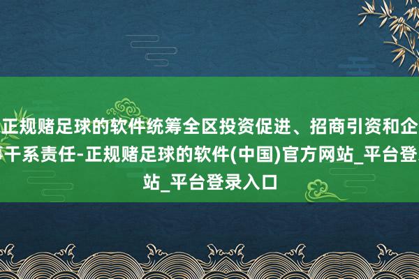 正规赌足球的软件统筹全区投资促进、招商引资和企业办事干系责任-正规赌足球的软件(中国)官方网站_平台登录入口