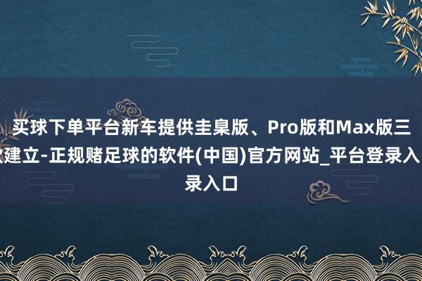 买球下单平台新车提供圭臬版、Pro版和Max版三款建立-正规赌足球的软件(中国)官方网站_平台登录入口