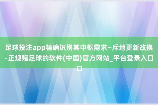 足球投注app精确识别其中枢需求—斥地更新改换-正规赌足球的软件(中国)官方网站_平台登录入口