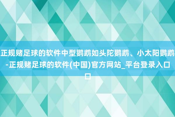 正规赌足球的软件中型鹦鹉如头陀鹦鹉、小太阳鹦鹉-正规赌足球的软件(中国)官方网站_平台登录入口