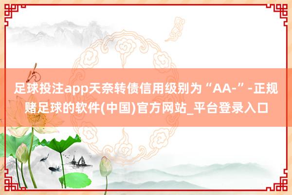 足球投注app天奈转债信用级别为“AA-”-正规赌足球的软件(中国)官方网站_平台登录入口