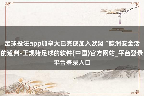 足球投注app加拿大已完成加入欧盟“欧洲安全活动”的道判-正规赌足球的软件(中国)官方网站_平台登录入口
