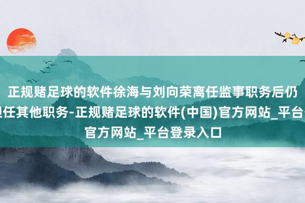 正规赌足球的软件徐海与刘向荣离任监事职务后仍在公司担任其他职务-正规赌足球的软件(中国)官方网站_平台登录入口
